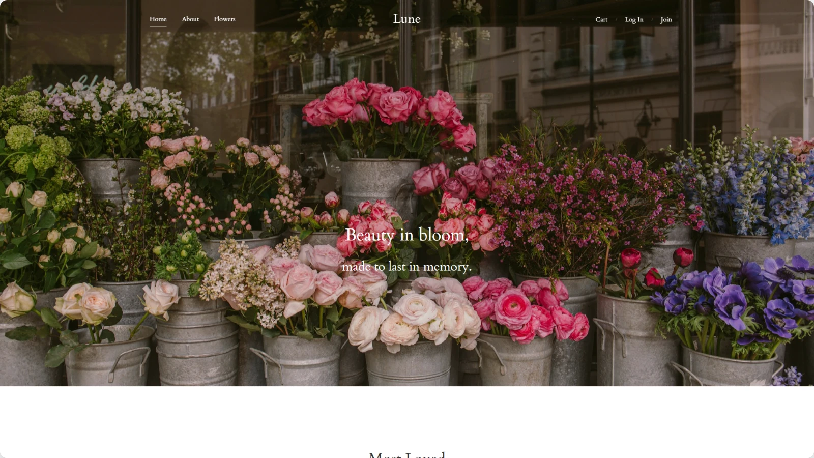 Lune 꽃가게 쇼핑몰 꽃집 자사몰 꽃배달 업체 홈페이지 웹사이트 대표 이미지